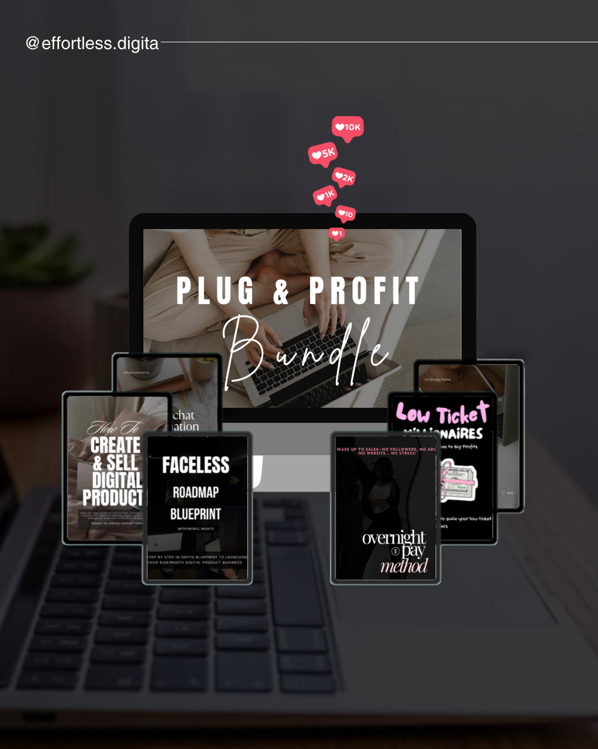 Plug & Profit Digital Wealth Bundle